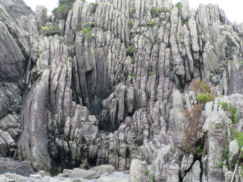 Kochi Private Tour - Huge rocks made from sand and mud have been uplifted to the seashore from the bottom of the ocean.