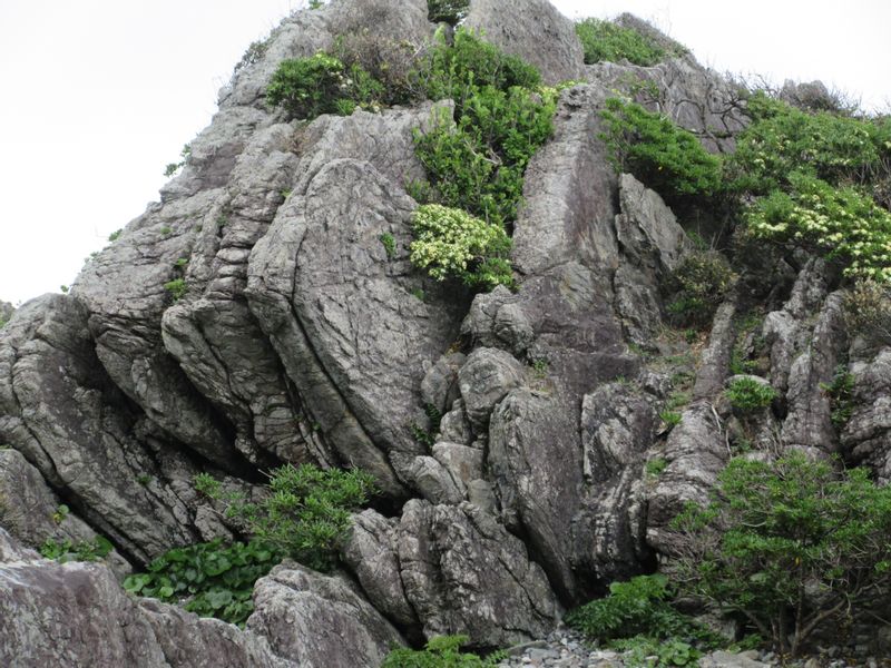 Kochi Private Tour - Huge rocks made from sand and mud have been uplifted to the seashore from the bottom of the ocean.