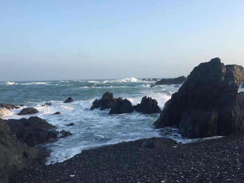 Kochi Private Tour - Huge rocks made from sand and mud have been uplifted to the seashore from the bottom of the ocean.