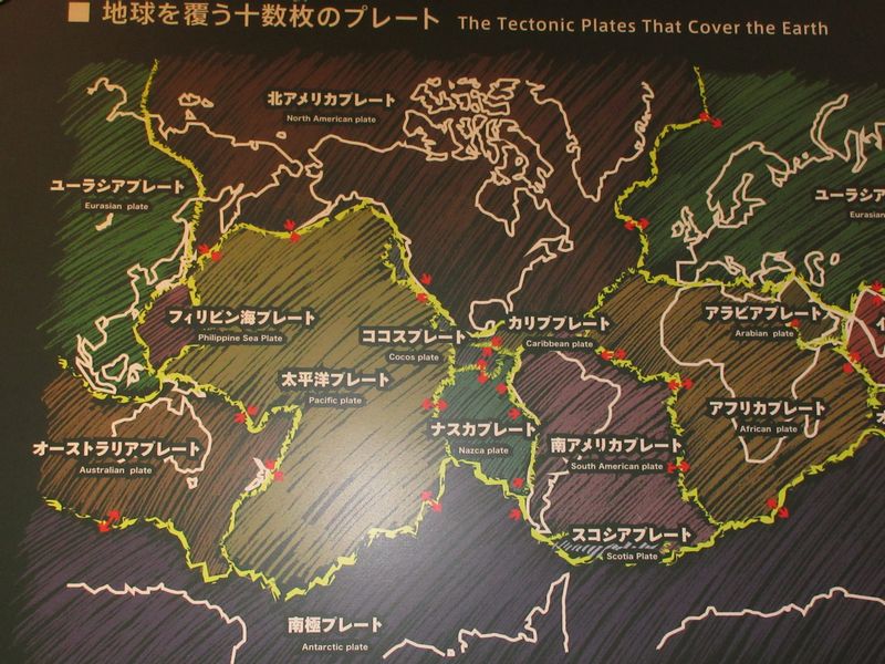 Kochi Private Tour - Display in Muroto Global Geopark Center