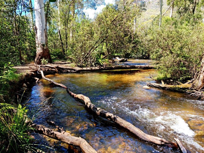 Melbourne Private Tour - Little River