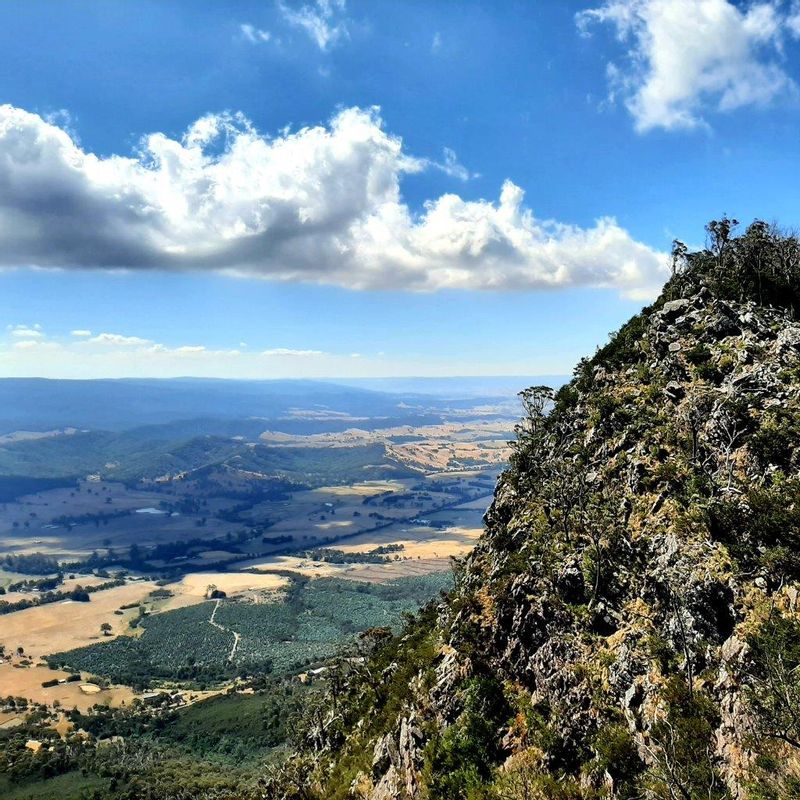 Melbourne Private Tour - Along the Razorback track