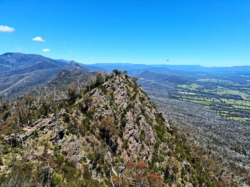 Melbourne Private Tour - Along the Razorback track