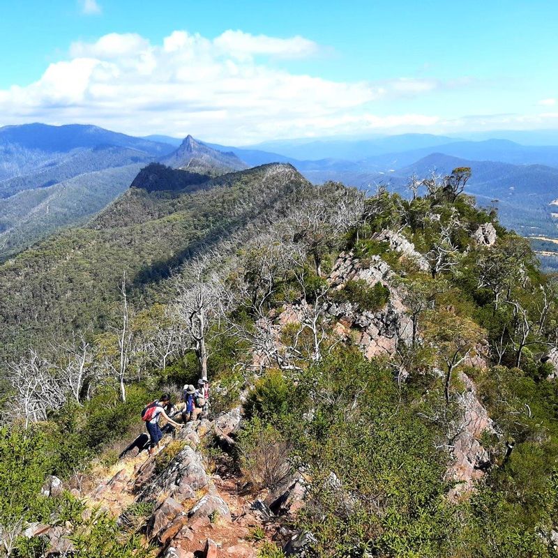 Melbourne Private Tour - Along the Razorback track