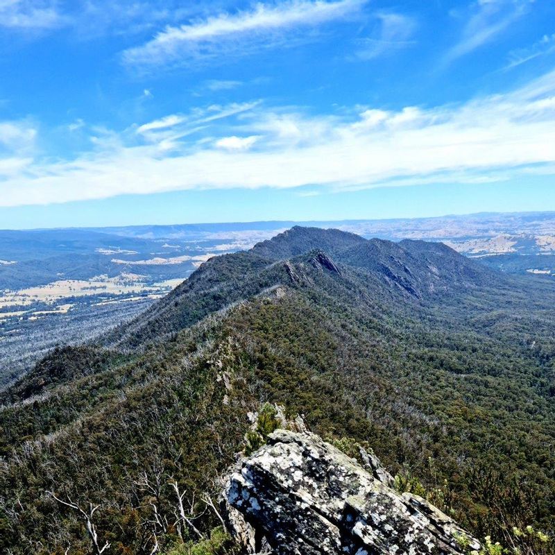 Melbourne Private Tour - View from Sugarloaf Peak