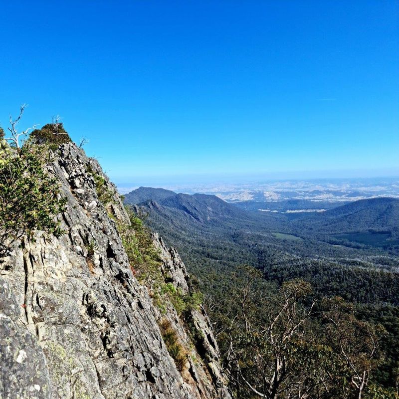 Melbourne Private Tour - View from Sugarloaf Peak