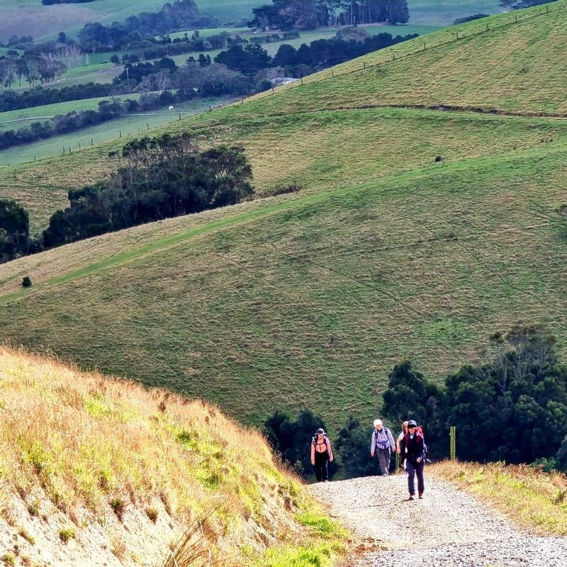 Melbourne Private Tour - Hikers making their way up a steep track