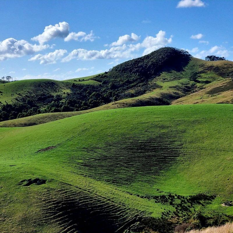 Melbourne Private Tour - Sweeping views of Gippsland