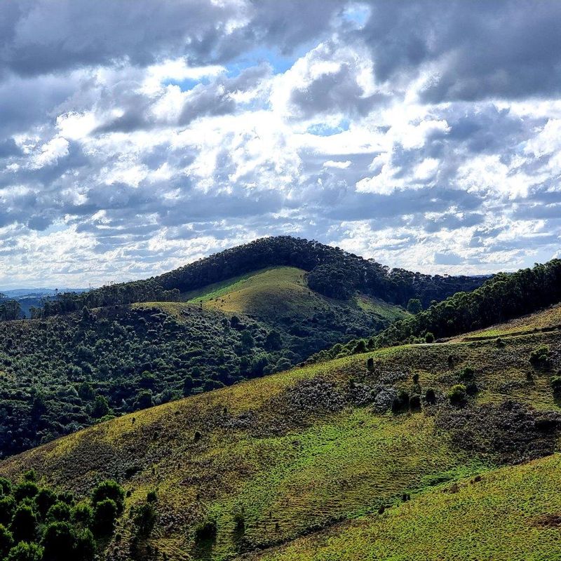 Melbourne Private Tour - Sweeping views of Gippsland