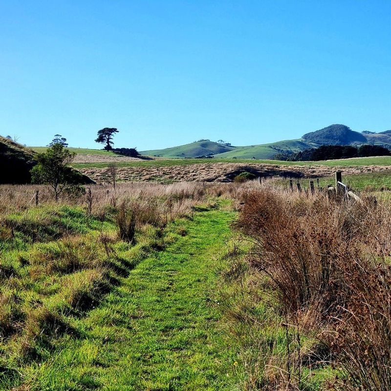 Melbourne Private Tour - Walk between farmland