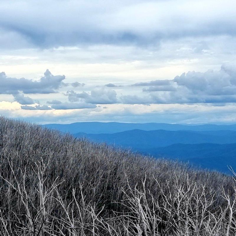 Melbourne Private Tour - Alpine Mountains in the distance