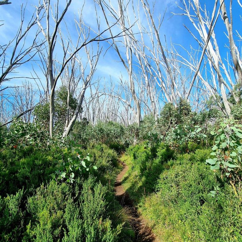 Melbourne Private Tour - Single track from Keppel Hut