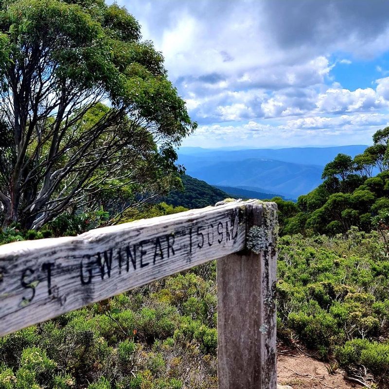 Melbourne Private Tour - View from Mount Saint Gwinear