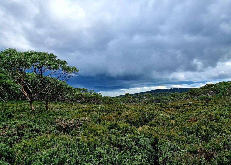 Melbourne Private Tour - Views out to an incoming storm