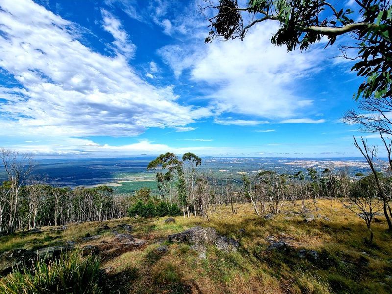 Melbourne Private Tour - Major Mitchell's lookout