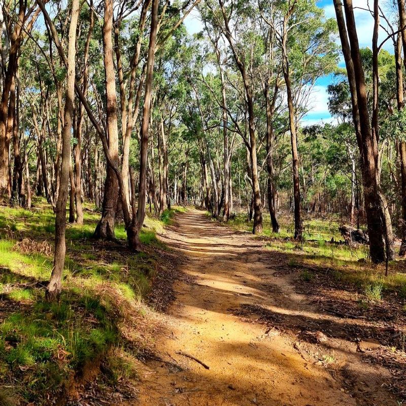 Melbourne Private Tour - Macedon Ranges Walking Trail