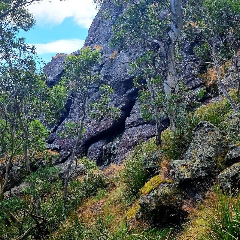 Melbourne Private Tour - Rock formations near Camel's Hump