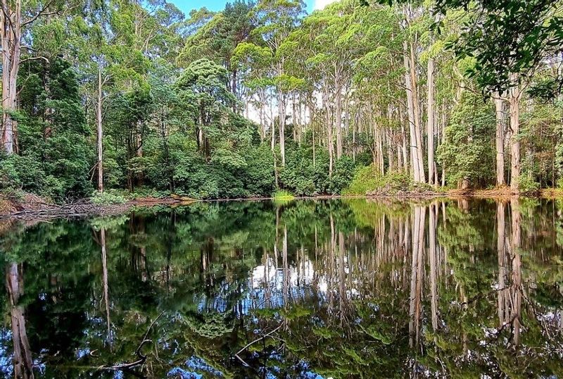 Melbourne Private Tour - Sanatorium Lake