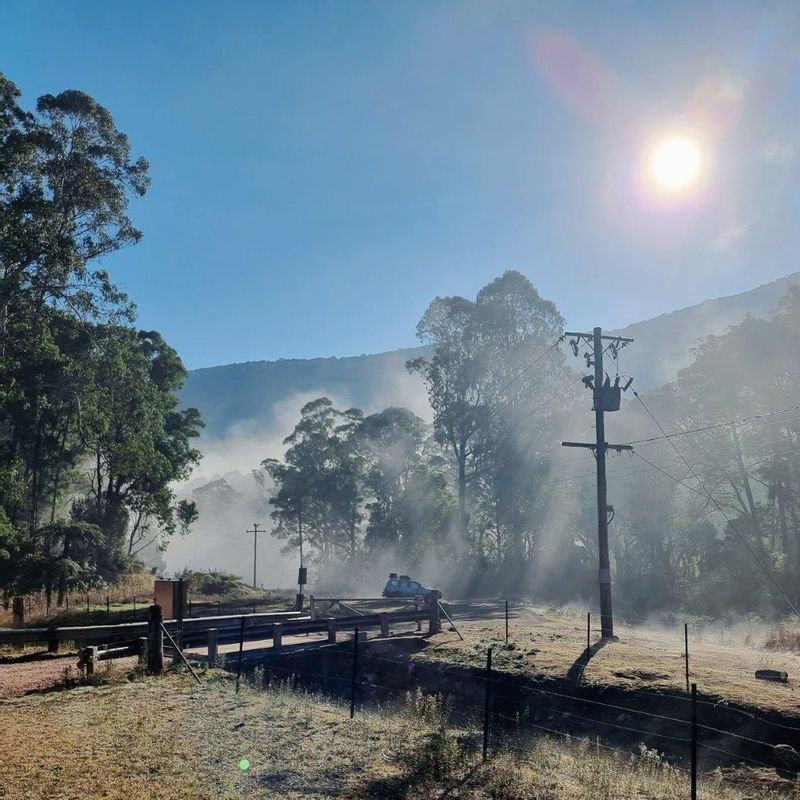 Melbourne Private Tour - A stunning misty morning to begin the hike