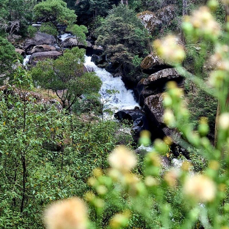 Melbourne Private Tour - The top of Rubicon Falls