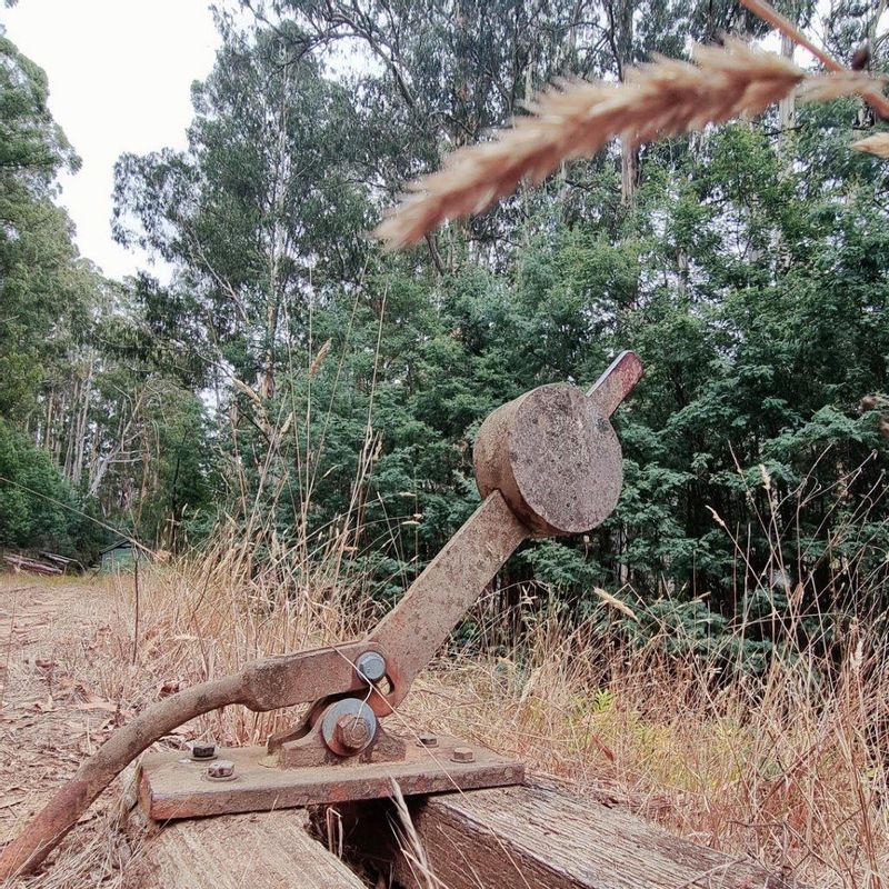 Melbourne Private Tour - The old switch track lever