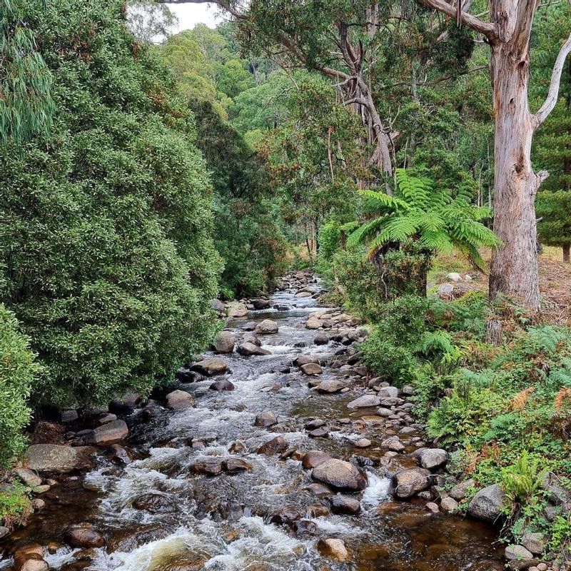 Melbourne Private Tour - Rubicon River