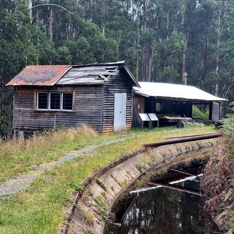 Melbourne Private Tour - The old Saw Mill