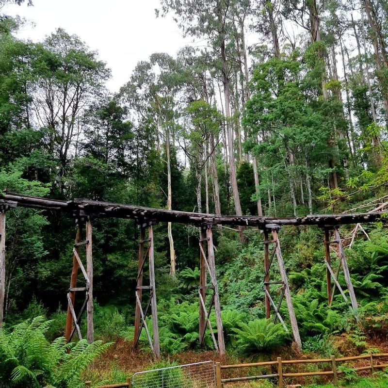 Melbourne Private Tour - One of the heritage trestle bridges in Rubicon