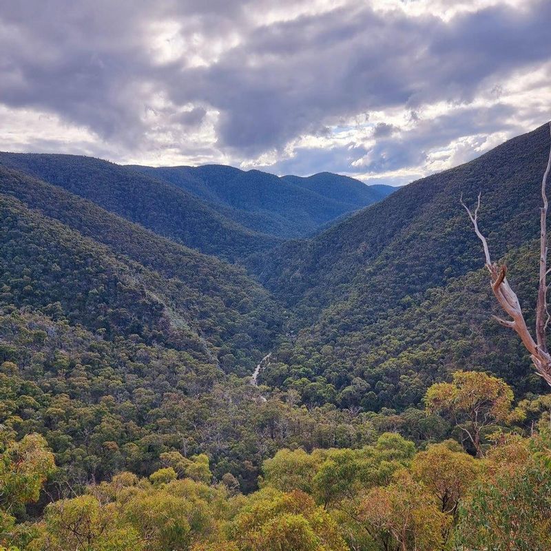 Melbourne Private Tour - Sweeping views of the Lerderderg National Park