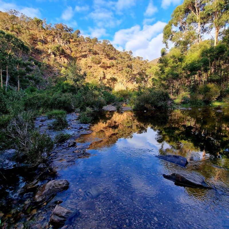 Melbourne Private Tour - Lerderderg River