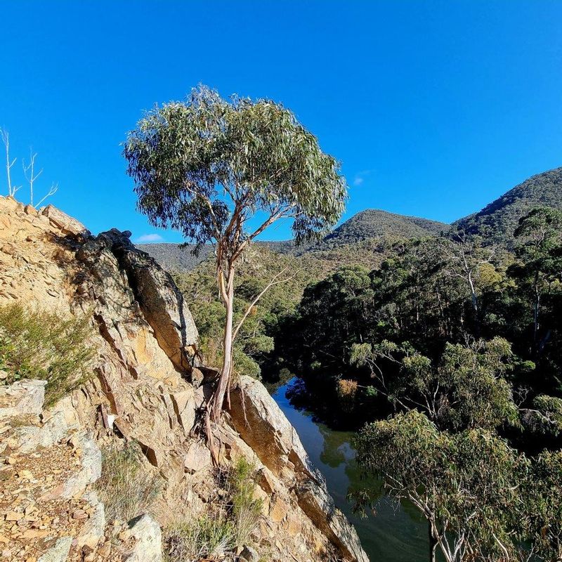 Melbourne Private Tour - Cliffs on the side of the Spur Track