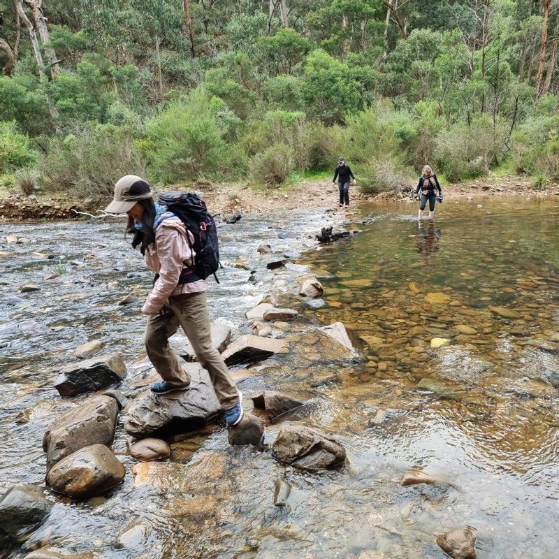 Melbourne Private Tour - Water Crossing at Lerderderg River