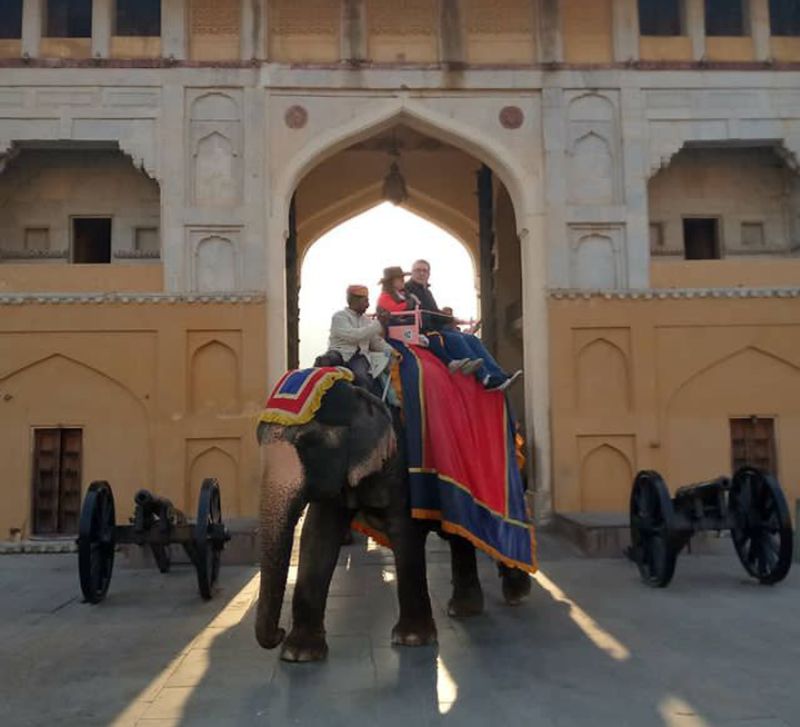 Jaipur Private Tour - null