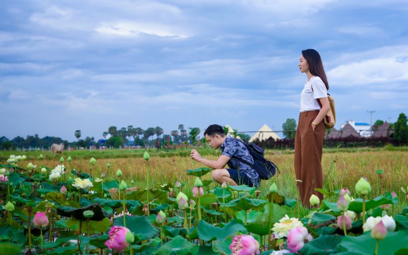 Siem Reap Private Tour - Rice Paddy Fields & Lotus Farms