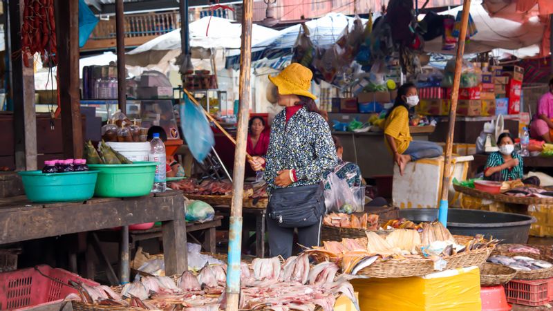 Siem Reap Private Tour - Cultural Market