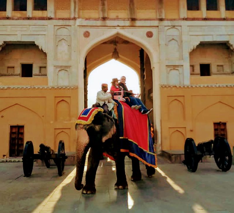 Jaipur Private Tour - Amber Fort