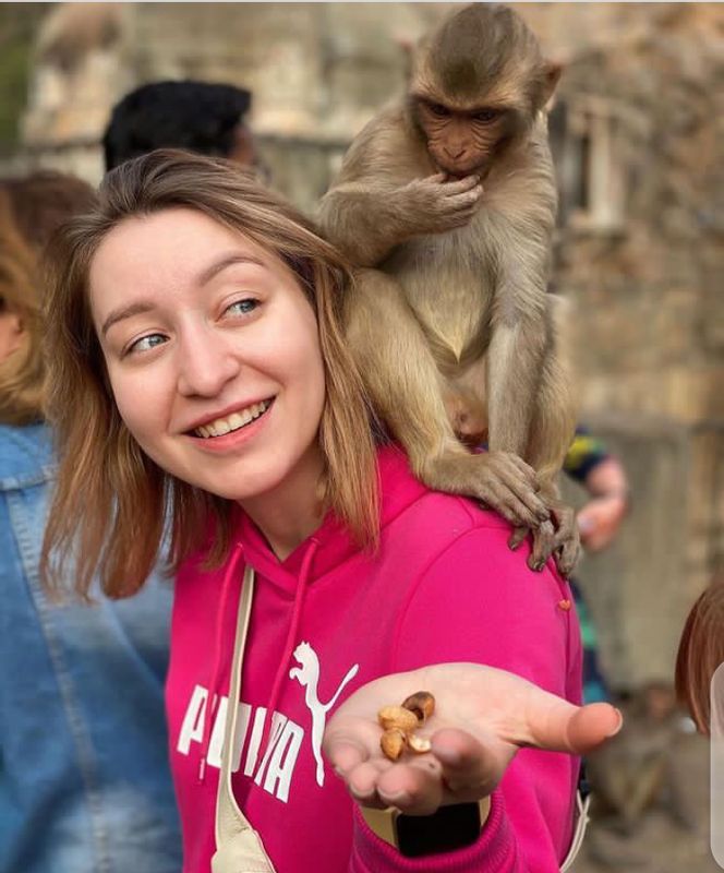 Jaipur Private Tour - Karma Feeding at the Monkey Temple 