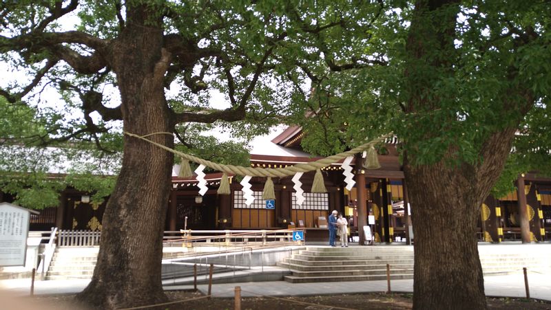 Tokyo Private Tour - Meiji jingu shrine