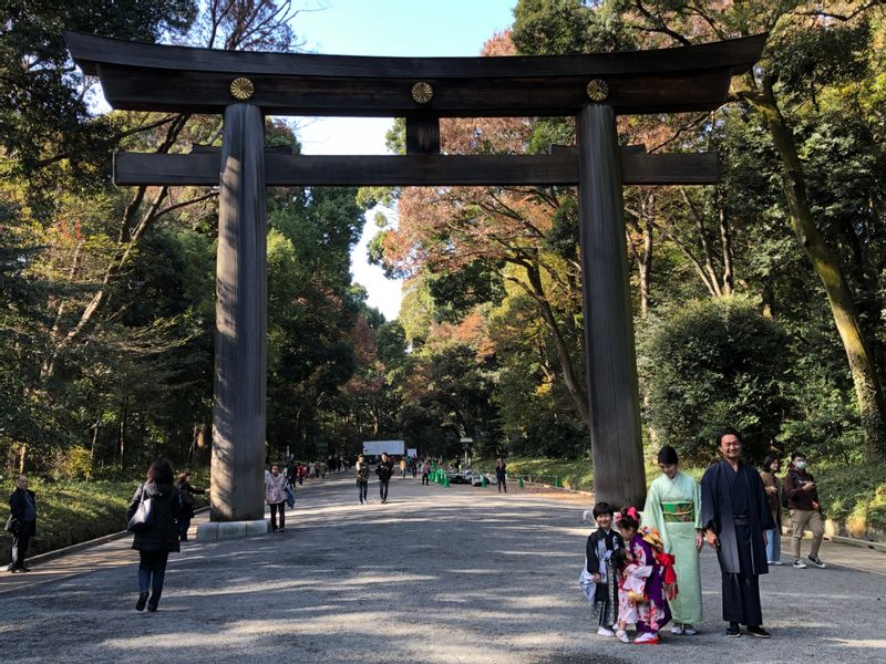 Tokyo Private Tour - Meiji jingu shrine Torii