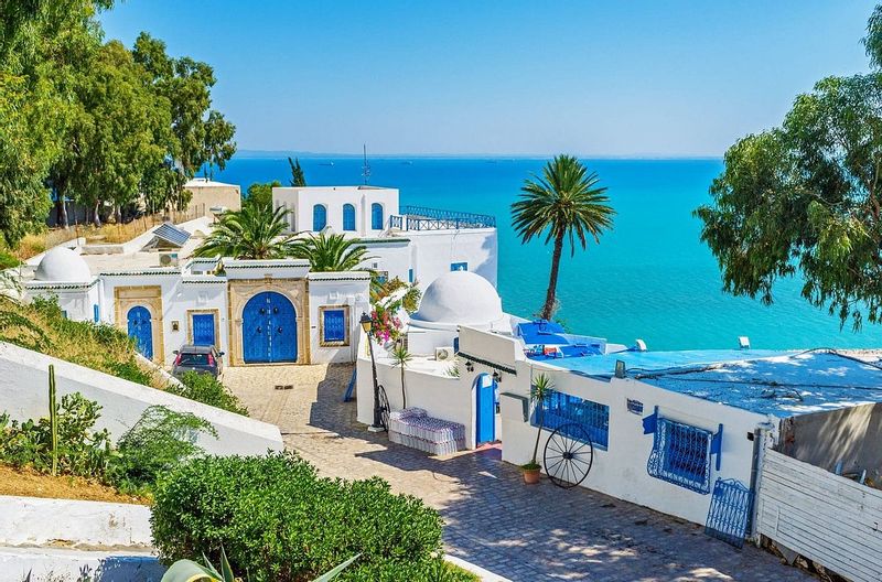 Tunis Private Tour - Sidi Bou Said