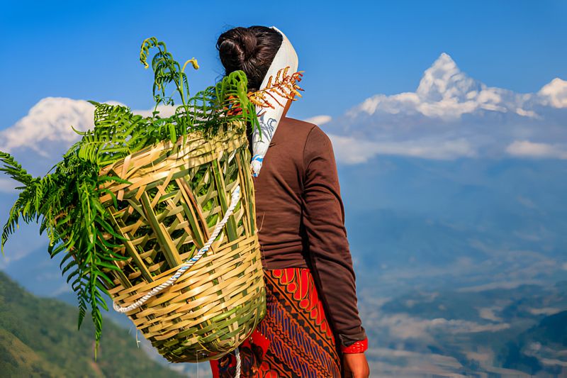 Gandaki Private Tour - Women carrying grass on basket Infront of Fishtai