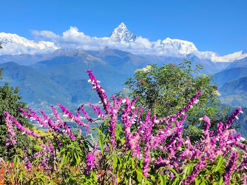 Gandaki Private Tour - Fishtail mountain