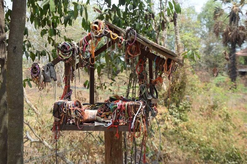 Phnom Penh Private Tour - killing fields