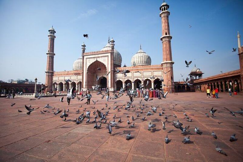 Delhi Private Tour - null