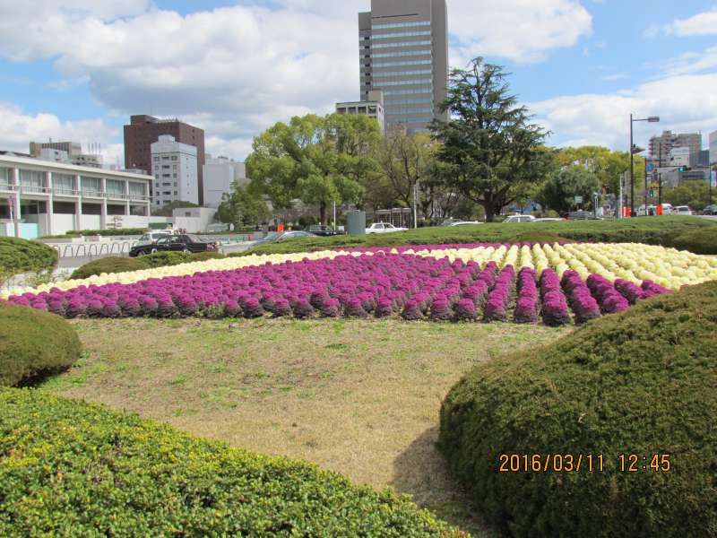 Hiroshima Private Tour - Peace Memorial Park