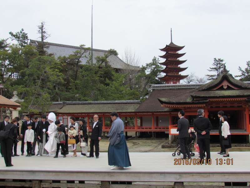 Hiroshima Private Tour - Itsukushima Shrine