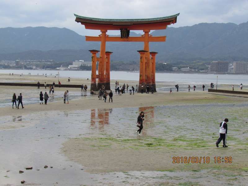 Hiroshima Private Tour - Vermillion Torii Gate at ebb tide