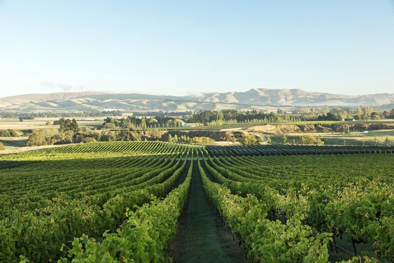 Christchurch Private Tour - Outlook over the Waipara Valley