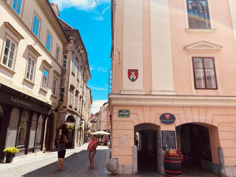 Ljubljana Private Tour - Border of 2 squares 