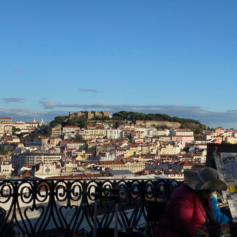 Lisbon Private Tour - The view from S. Pedro de Alcantara